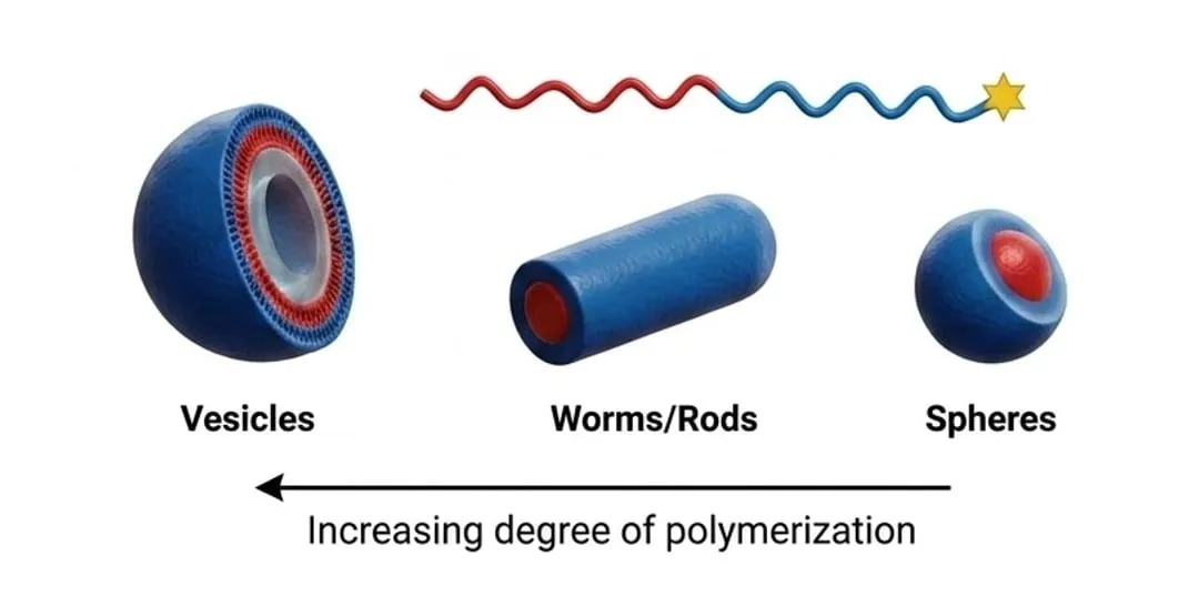 Spheres, worms and vesicles self-assembled from a RAFT block copolymer