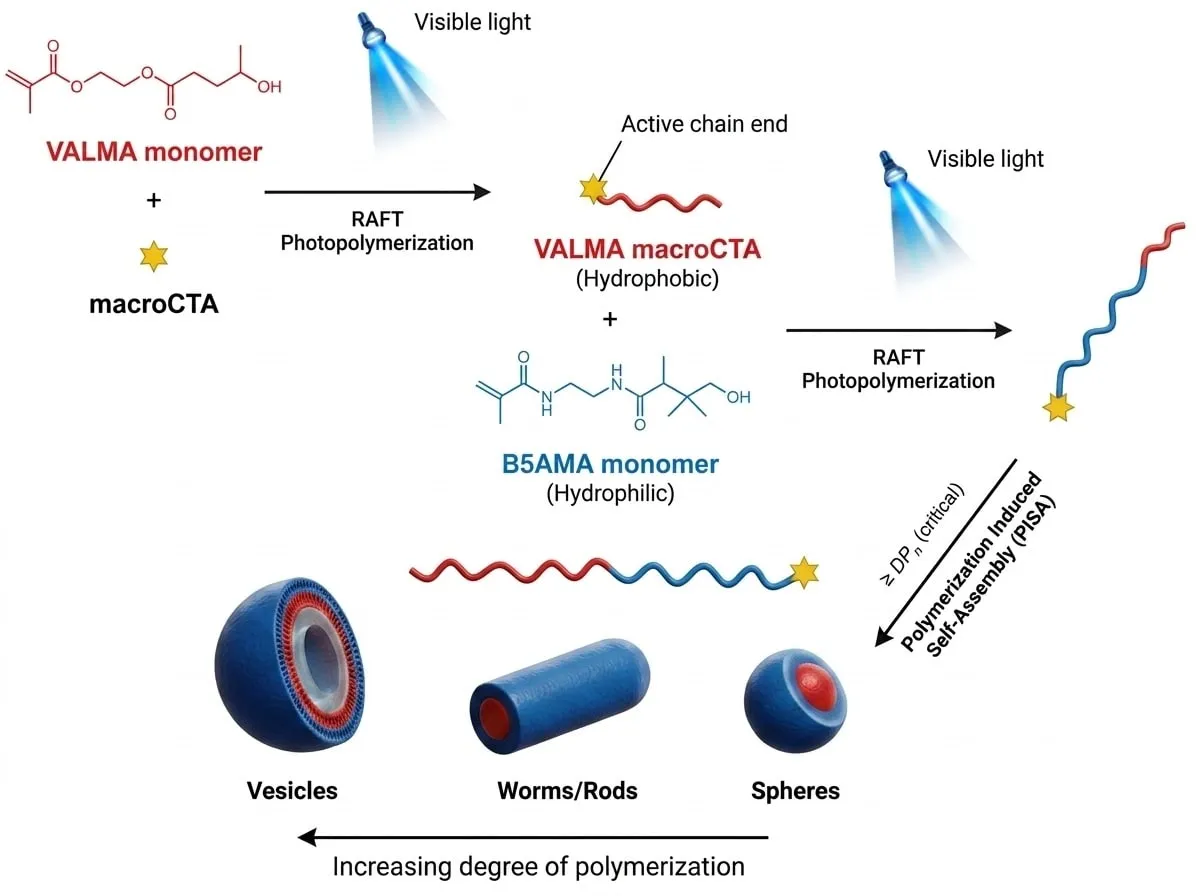 RAFT photopolymerization of a two-block copolymer that self-assembles into spheres, worms and vesicles
